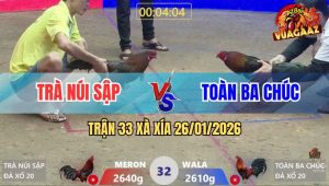 Trận 32 Xà Xía 26/1/2026 - Hai Con Vô Kính Đứng Nhìn Mặt Nhau