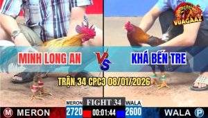 Trận 34 CPC3 8/1/2026 - Điều Mồng Dâu Bú Xám Lá Má Minh Nằn Tê Liệt
