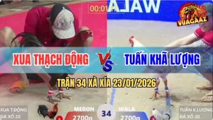 Trận 34 Xà Xía 23/1/2026 - Bướm Siết Cây Lưng, Que Ho Ra Máu Lỏng