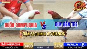 Trận 35 TonHon 7/1/2026 - Úa Hiệu Anh Đuôn Đá Gà Phèn Không Kịp Tha Lơ