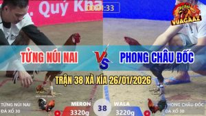 Trận 38 Xà Xía 26/1/2026 - Gà Khét Đâm Cây Chí Mạng Điều Té Lộn Mèo