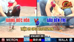 Trận 39 CPC3 23/1/2026 - Bướm Anh Gấu Đâm Điều Anh Giang Lìa Giò