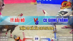 Trận 39 Xà Xía 24/1/2026 - Bướm Đá Cây Đầu Cần Xám Té Dơ Cánh Xin Hàng