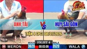 Trận 4 CPC3 8/1/2026 - Gà Xám Cù Lũ Lùa Đá Tăng 1 Que Gục Tại Chỗ