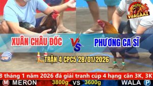 Trận 4 CPC5 28/1/2026 - Xanh Chặn Ngay Ông Địa, Đỏ Té Xòe Đuôi