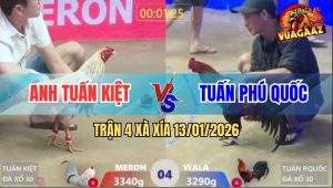 Trận 4 Xà Xía 13/1/2026 - Điều Anh Kiểm Siết Cây Cần Bướm Té Sấp Mặt