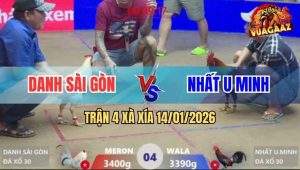 Trận 4 Xà Xía 14/1/2026 - Điều Anh Nhất U Minh Dỡ Giò Là Có Cựa