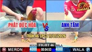 Trận 46 CPC3 11/1/2026 - Màn So Nài Nghẹt Thở Giữa Anh Phát Và Anh Tâm