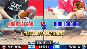 Trận 48 CPC3 8/1/2026 - Úa Anh Định Đá Bến Thế, Điều Không Có Đường Ra