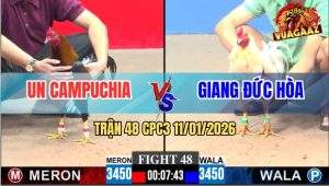 Trận 48 CPC3 11/1/2026 - Gà Que Anh Un Tiễn Gà Bướm Lên Đường Nhập Thổ