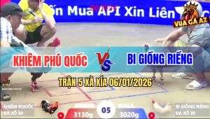 Trận 5 Xà Xía 6/1/2026 - Anh Kẽm Thả Gà Đá 3 Cước Đối Thủ Phun Tương