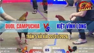 Trận 5 Xà Xía 22/1/2026 - Điều Cọp Anh Đuol Đâm Gà Que Anh Kiệt Tơi Tả