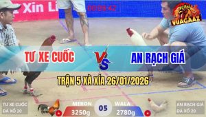 Trận 5 Xà Xía 26/1/2026 - Úa Kém 5 ChấmĐá Điều Quay Như Chong Chóng