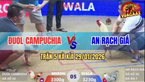 Trận 5 Xà Xía 29/1/2026 - Bướm Nhỏ Chấp Bạc Vẫn Hạ Camelo Anh Đuol CPC