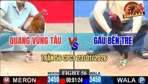 Trận 56 CPC3 23/1/2026 - Điều Cọp Anh Gấu Đá Điều Đỏ Té Lên Té Xuống