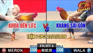 Trận 6 CPC3 23/1/2026 - Điều Cọp Anh Khoa Bươi Chà Như Máy Sới