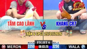 Trận 6 CPC3 25/1/2026 - Úa Phá Đôi Vẫn Hạ Xanh Mẻ Hiệu Tính Ga King