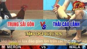 Trận 6 CPC4 5/1/2026 - Anh Trung Sửa Gà Khéo Phút 90 Lụm Tiền Gà Chuối