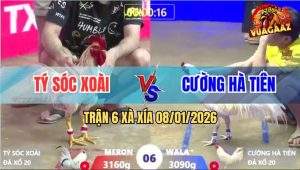 Trận 6 Xà Xía 8/1/2026 - Úa Gồng Đứng Được Cứu Chủ Một Chén Thua