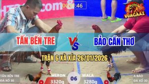 Trận 6 Xà Xía 26/1/2026 - Khét Anh Tân Bến Tre Chưa Đá Đã Chạy Bay Bồ