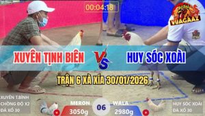Trận 6 Xà Xía 30/1/2026 - Bướm Chồng Độ Dính Cây Ông Địa Té Chổng Gọng