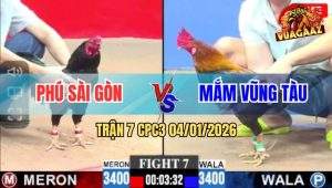 Trận 7 CPC3 4/1/2026 - Gà Que Anh Mắm Đá Ô Ướt Anh Phú Bể Hộp Số