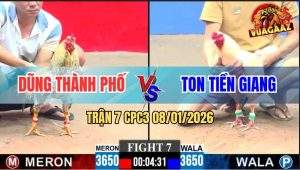 Trận 7 CPC3 8/1/2026 - Anh Ton Tiền Giang Lấy Lại Sau 2 Trận Thất Bại