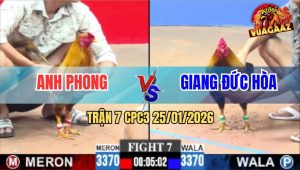 Trận 7 CPC3 25/1/2026 - Anh Giang Cắt Đứt Chuỗi Thua 3 Trận Liên Tiếp