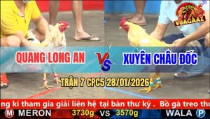 Trận 7 CPC5 28/1/2026 - Úa Hở Sườn Một Nhịp Bướm Đâm Lọt Nách Lụm Tiền