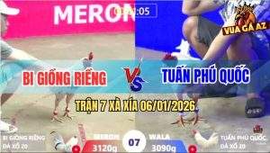 Trận 7 Xà Xía 6/1/2026 - Bướm Anh Bi Quá Đâm Úa Chịu Không Nổi Bỏ Chạy