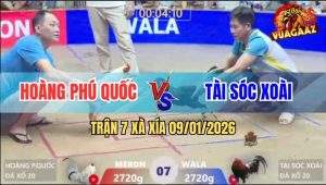 Trận 7 Xà Xía 9/1/2026 - Điều Lọt Chết, Bướm Ói Vừa Đủ Điểm Ăn Độ
