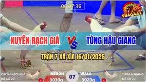 Trận 7 Xà Xía 16/1/2026 - Úa Đỏ May Độ Bú Cây Lưng Về Bờ An Toàn