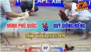 Trận 7 Xà Xía 17/1/2026 - Điều Nhỏ Cáp Láo Úa Đâm Cây Lưng Ho Ra Si Rô