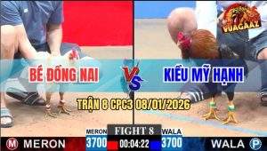 Trận 8 CPC3 8/1/2026 - Camelo Anh Bé Đồng Nai Tải Cựa Quá Tốt