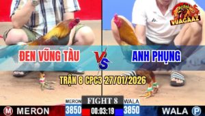 Trận 8 CPC3 27/1/2026 - Điều Canh Chặn Trúng Ông Địa Khét Té Xòe Đuôi