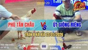 Trận 8 Xà Xía 12/1/2025 - Điều Hít Vô Đâm Bướm Mình Mẩy Như Cái Rổ