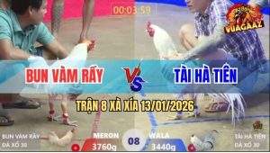 Trận 8 Xà Xía 13/1/2026 - Bướm Nhỏ Ký Bao Bồ Bị Úa Đâm Ói Đen Đầu