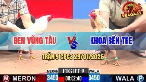 Trận 9 CPC3 29/1/2026 - Hai Con Đá Quá Đâm Nhưng Hết Pin Phút Chót