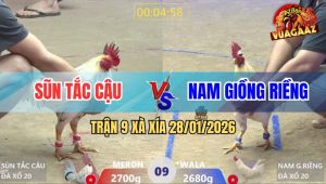 Trận 9 Xà Xía 28/1/2026 - Bướm Đá Úa Anh Kiểm Quẹo Đầu Chỉ 1 Tay Nước