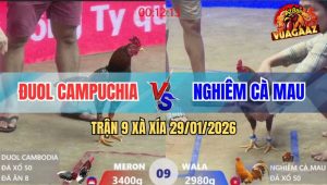 Trận 9 Xà Xía 29/1/2026 - Khét Mẻ Hiệu Anh Kiểm Bị Bông Đâm Chạy Sản