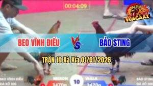 Trận 10 Xà Xía 01/01/2026