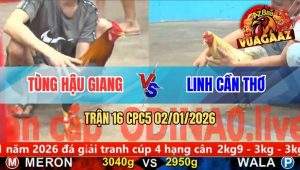 Trận 16 CPC5 02/01/2026