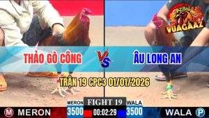 Trận 19 CPC3 01/01/2026