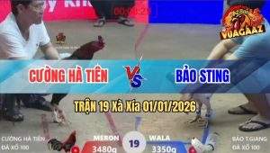 Trận 19 Xà Xía 01/01/2026