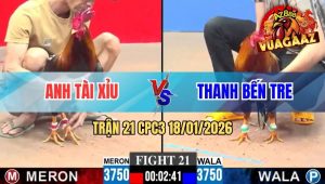 Trận 21 CPC3 18/01/2026