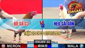 Trận 22 CPC3 01/01/2026