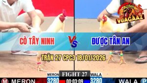 Trận 27 CPC3 18/01/2026