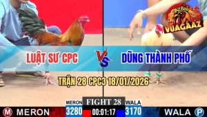 Trận 28 CPC3 18/01/2026