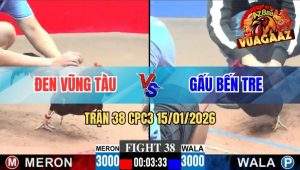 Trận 38 CPC3 15/01/2026