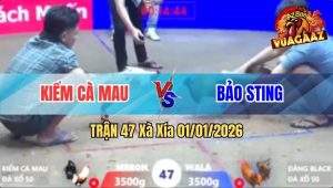 Trận 47 Xà Xía 01/01/2026